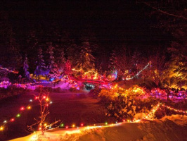 Christmas-Lights-2008-022
