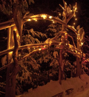 Christmas-Lights-2008-007