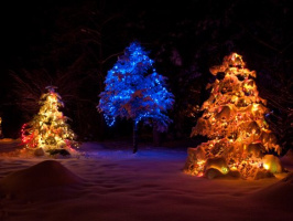 Christmas-Lights-2008-003