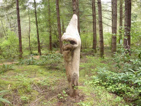 Driftwood Sculptures